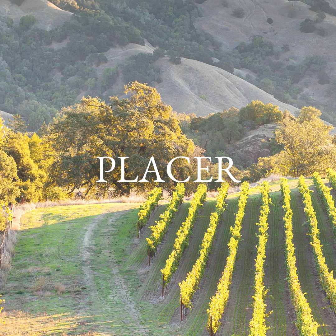 vineyard with Placer